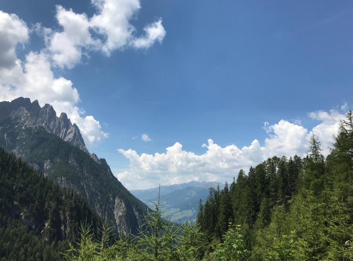 Апартаменты The Dolomiti View Debant Экстерьер фото